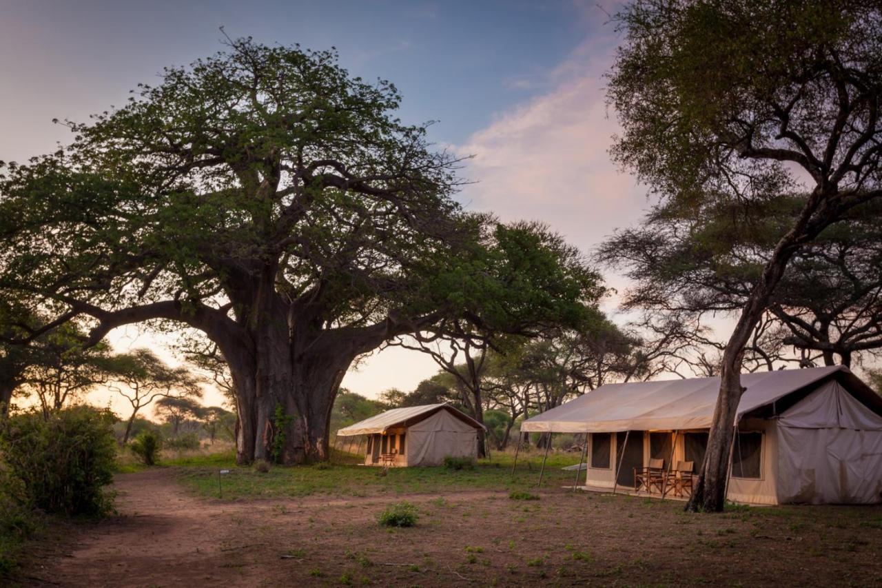 Baobab Tented Camp Kwa Kuchinia Exteriér fotografie