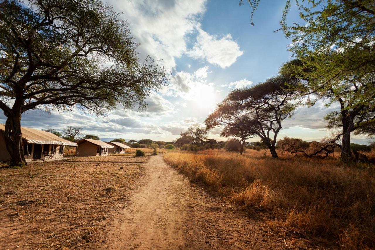 Baobab Tented Camp Kwa Kuchinia Exteriér fotografie