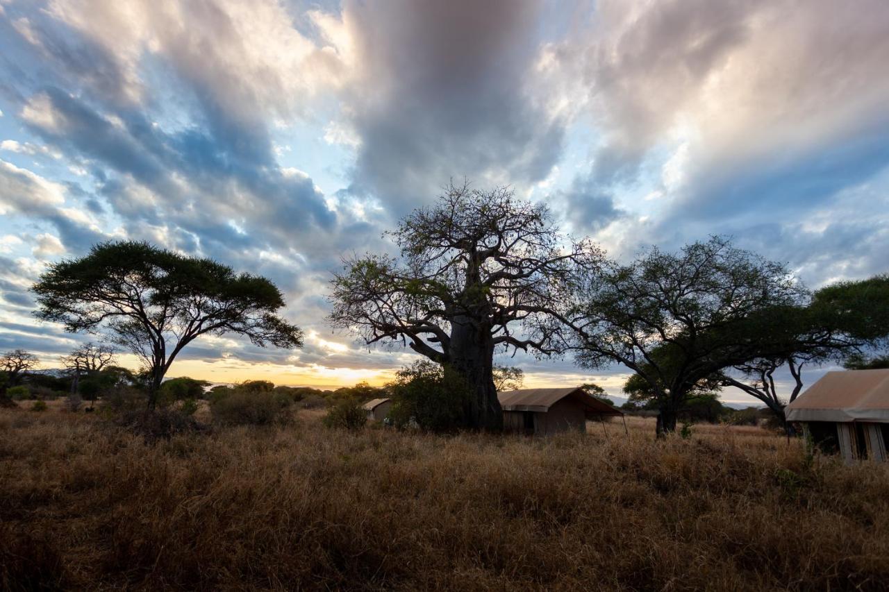 Baobab Tented Camp Kwa Kuchinia Exteriér fotografie