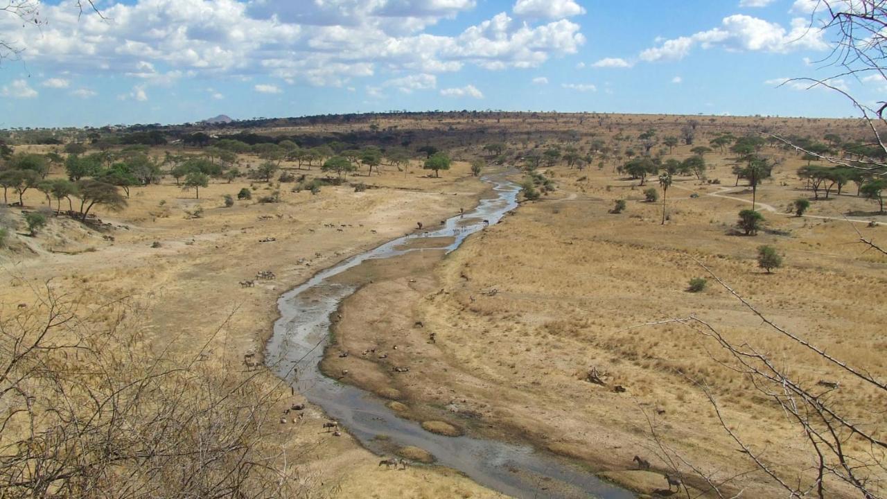 Baobab Tented Camp Kwa Kuchinia Exteriér fotografie